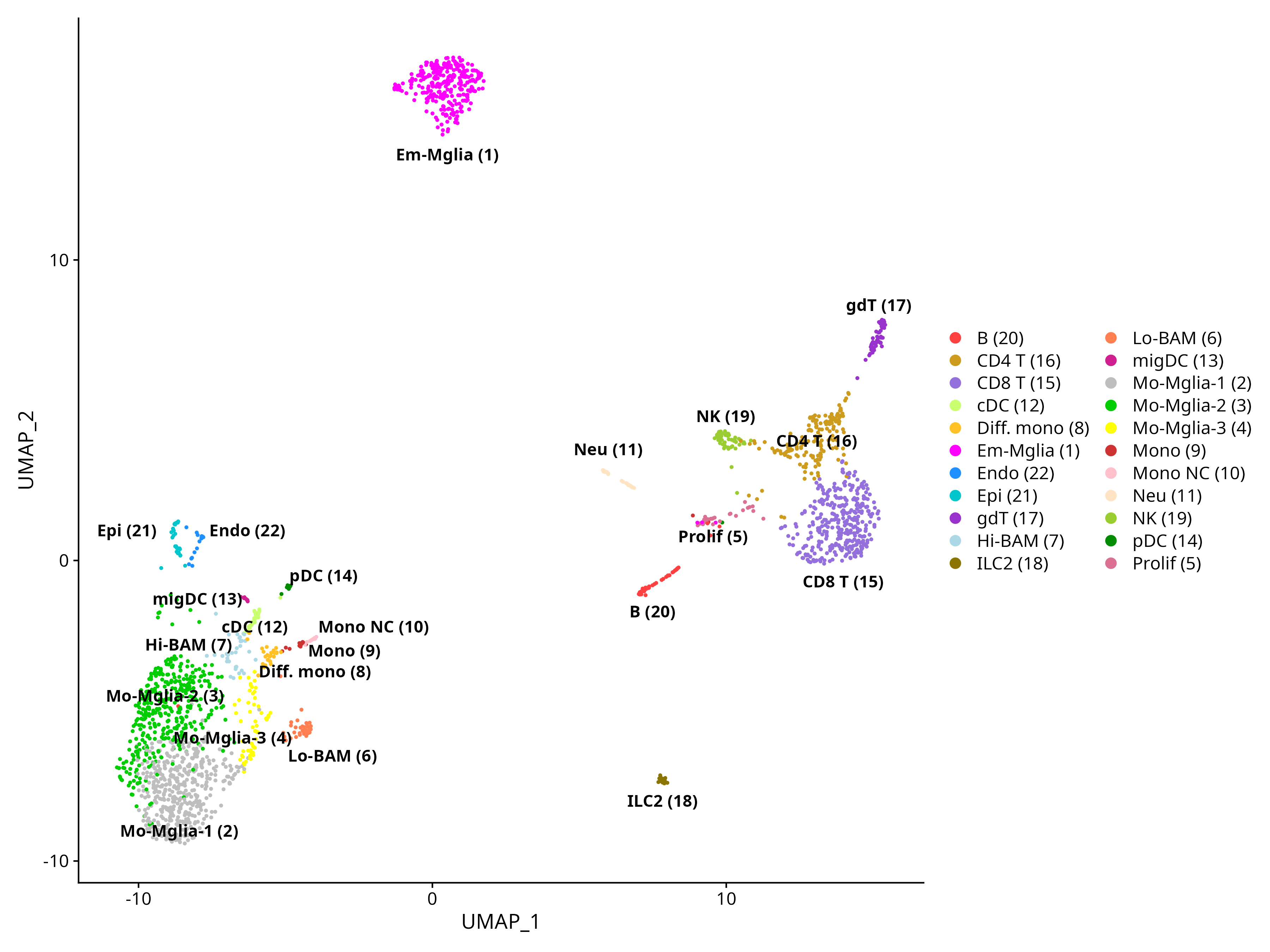 Umap Brain engraftment
