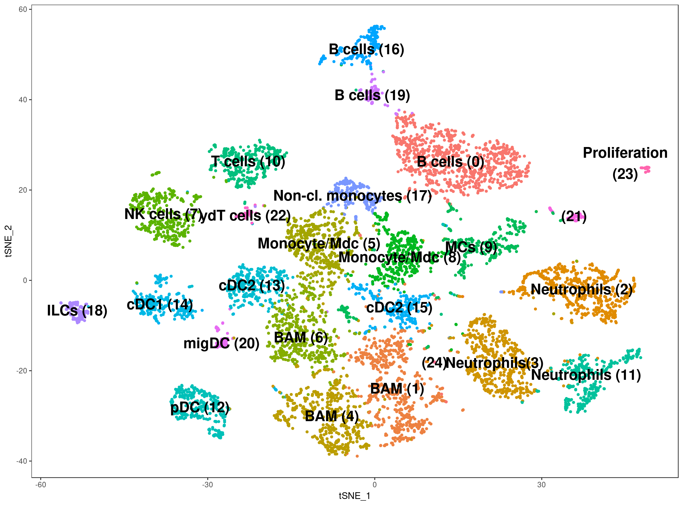 tSNE JP30+31