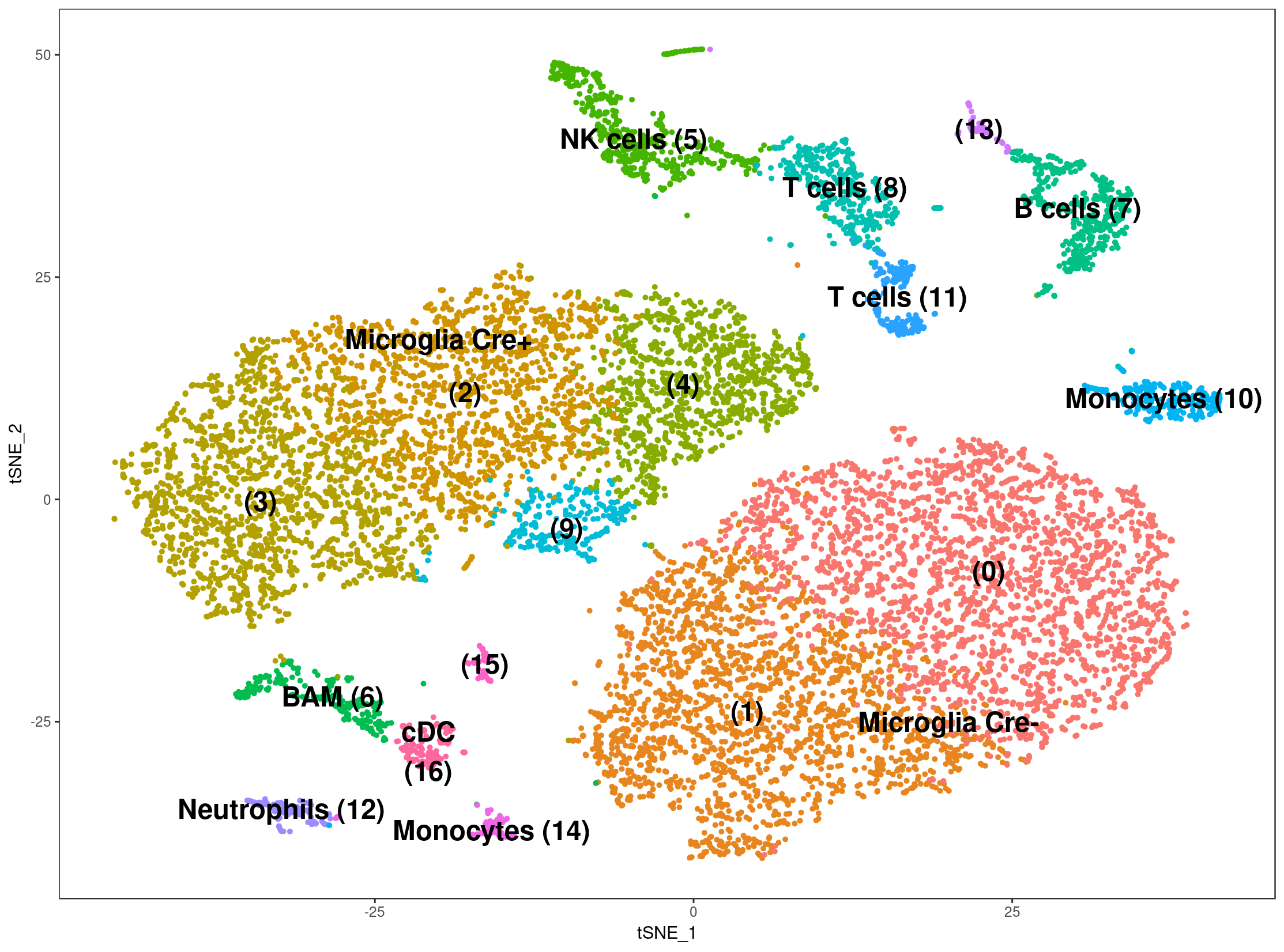 tSNE JP34+35