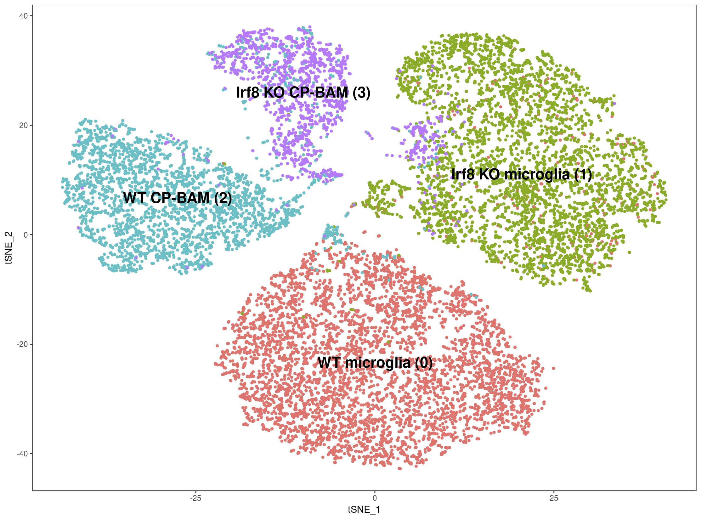 tSNE MF_JP34+35+36+37