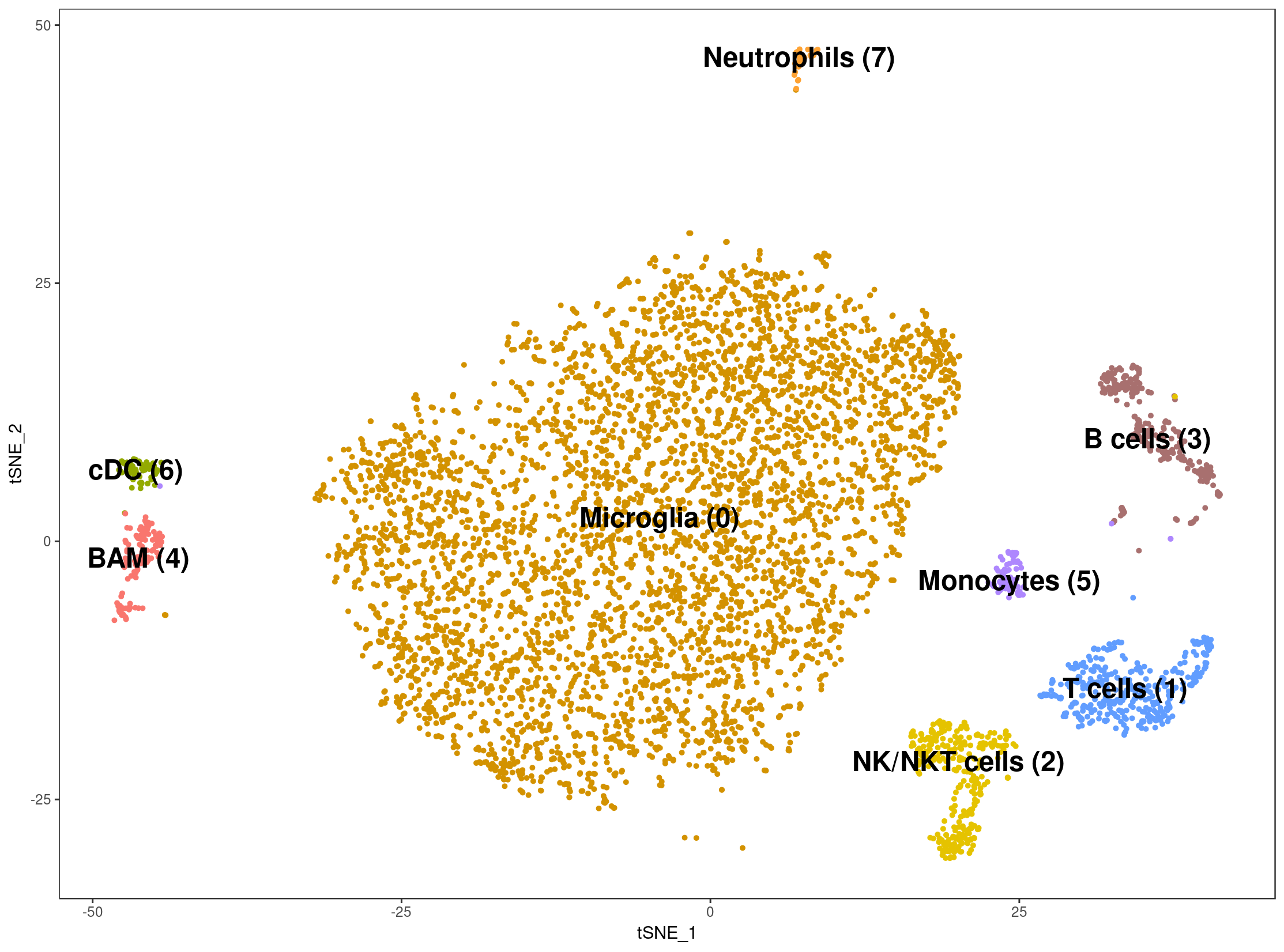 tSNE WT Homeostatic brains