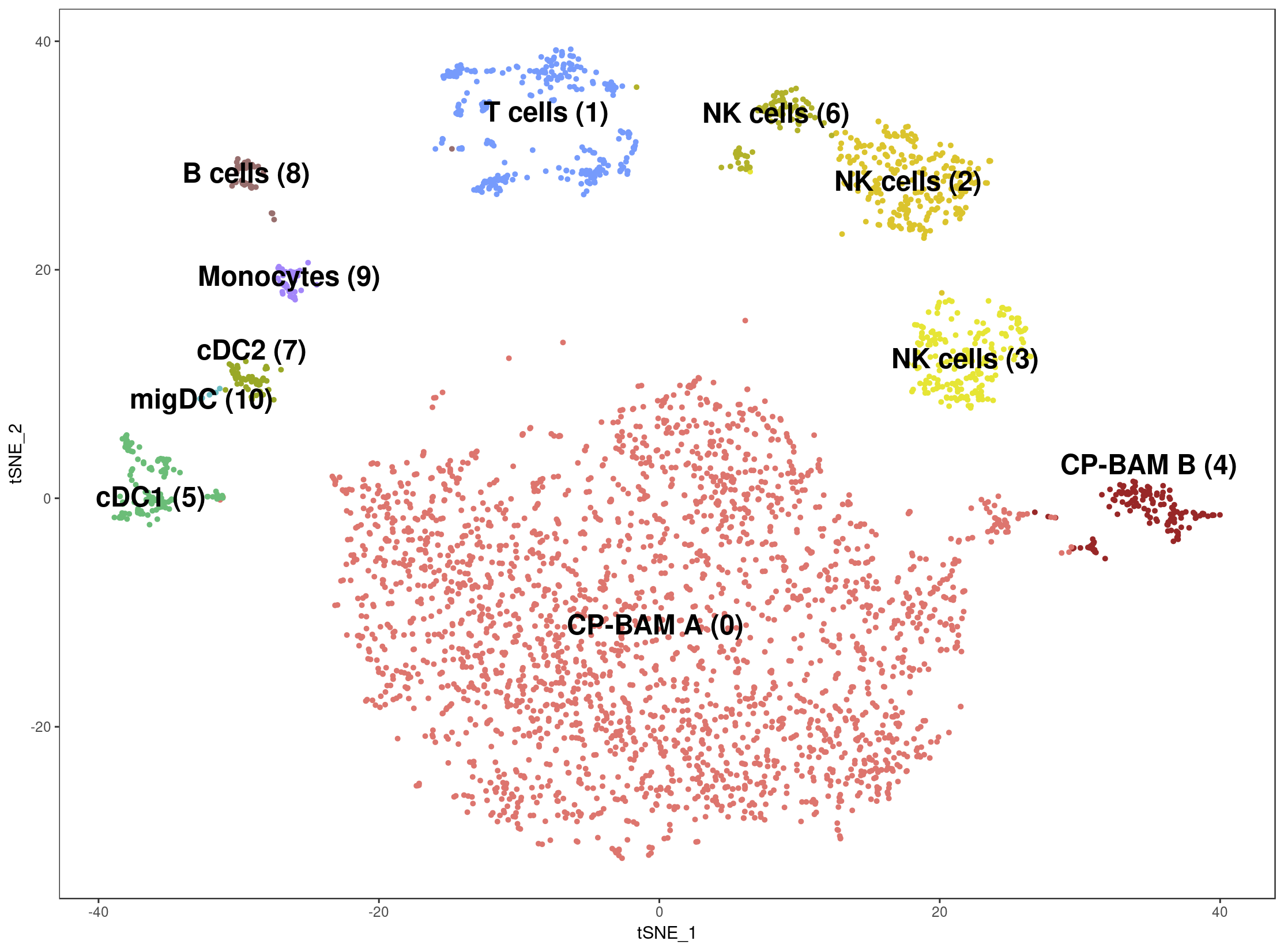 tSNE K11