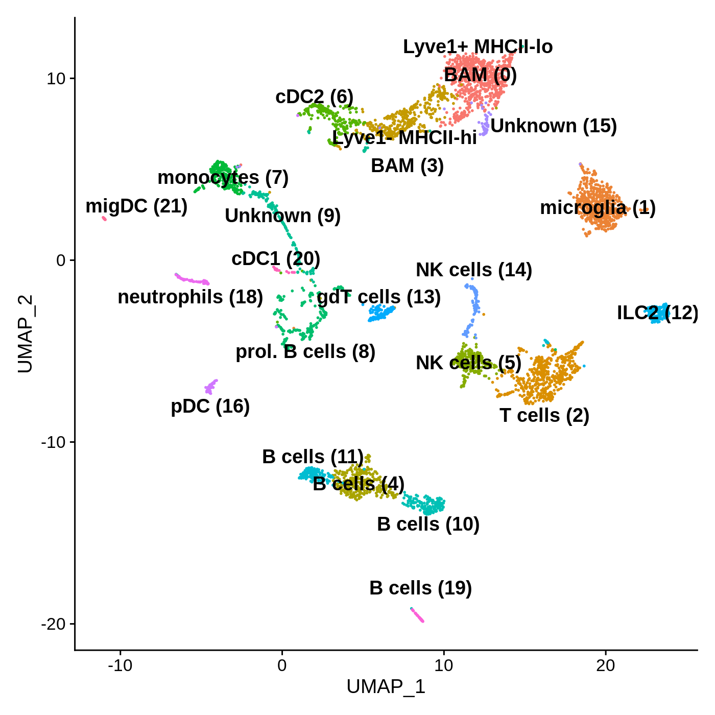 Umap PBS treated brains