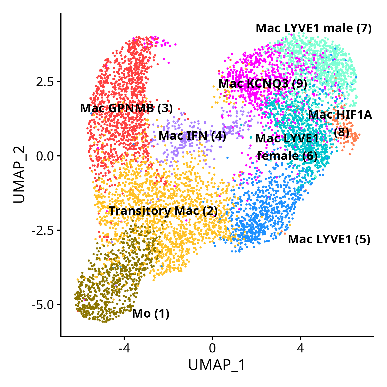 Umap Human CSF1 mono and MFs