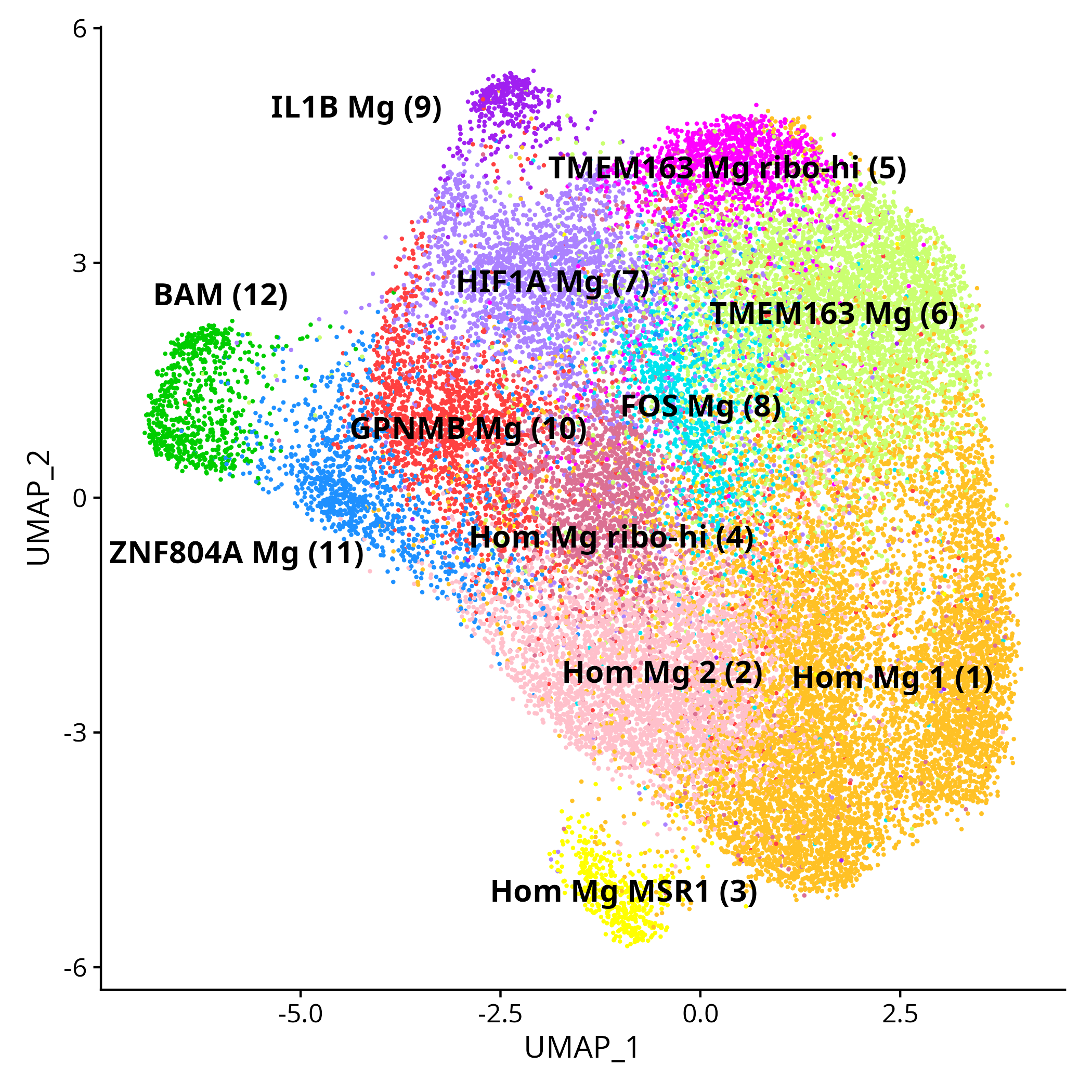 Umap Human ROSMAP