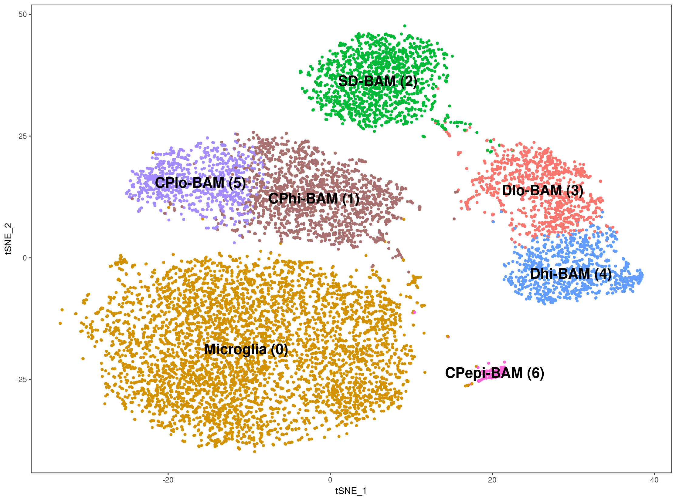 tSNE pooled macrophage dataset